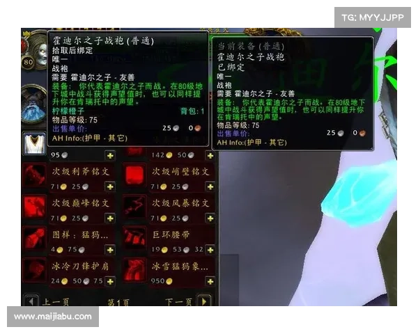 霍迪尔之子战袍的传承与史诗角色探秘解析