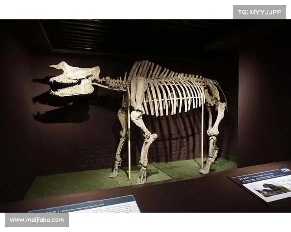 探寻遗失的传奇与神秘生物的奥秘之旅