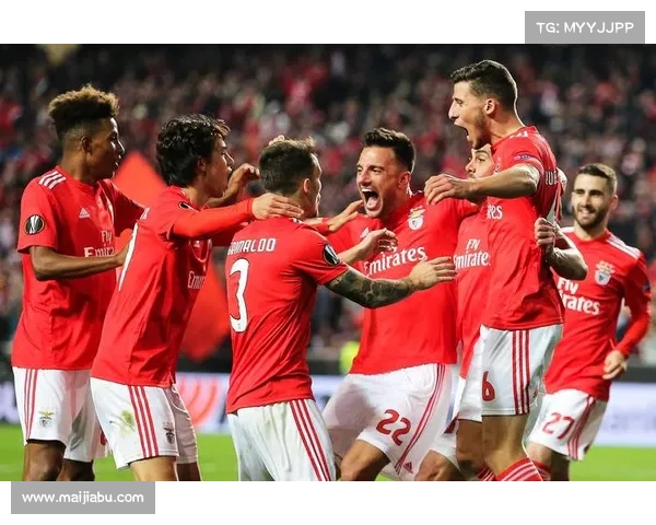 北美洲地区知名杯赛盘点及其影响力分析