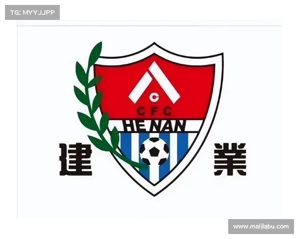 建业足球俱乐部的组织性质与功能分析及其在中国足球发展中的作用