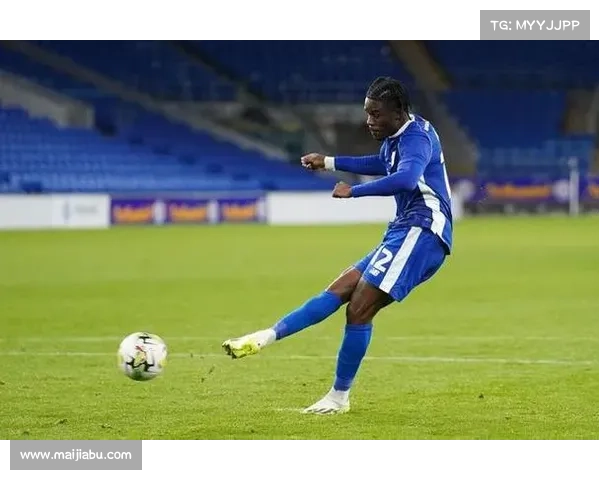 加的夫城足球俱乐部所属联赛解析及其历史发展轨迹探讨