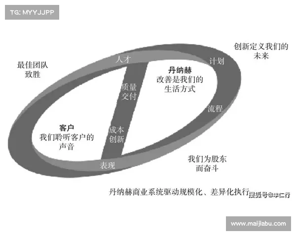 斯坦福桥五大组织特点揭秘：解析其成功的核心驱动力与管理模式